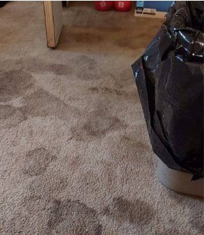 carpet-before